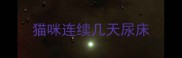 猫咪连续几天尿床