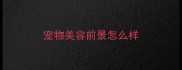 宠物美容前景怎么样