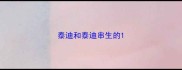 泰迪和泰迪串生的