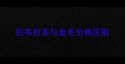 拉布拉多与金毛价格区别