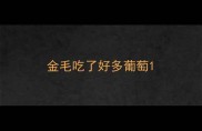 金毛吃了好多葡萄