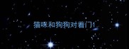 猫咪和狗狗对着门