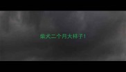 柴犬二个月大样子