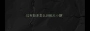 拉布拉多怎么训练大小便
