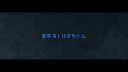 狗狗身上热是为什么