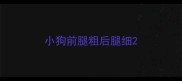 小狗前腿粗后腿细