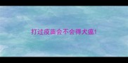 打过疫苗会不会得犬瘟