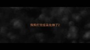 狗狗打完疫苗处肿了