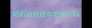 陨石边牧成年毛变长吗