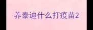 养泰迪什么打疫苗