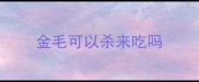 金毛可以杀来吃吗