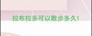 拉布拉多可以散步多久