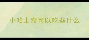 小哈士奇可以吃些什么