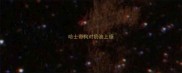 哈士奇狗对奶油上瘾