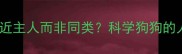狗狗为何更亲近主人而非同类科学狗狗的人宠共生本能