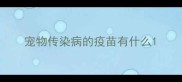 宠物传染病的疫苗有什么