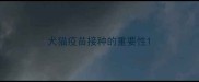 犬猫疫苗接种的重要性
