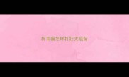 折耳猫怎样打狂犬疫苗