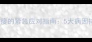 边境牧羊犬幼犬消瘦的紧急应对指南5大病因排查与科学调理全