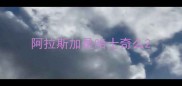 阿拉斯加是哈士奇么