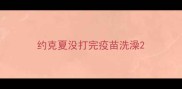 约克夏没打完疫苗洗澡