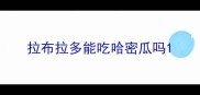 拉布拉多能吃哈密瓜吗