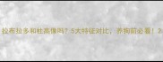 拉布拉多和杜高像吗5大特征对比养狗前必看