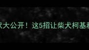 狗狗上火症状大公开这5招让柴犬柯基秒变活力小可爱