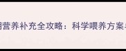 边牧换毛期营养补充全攻略科学喂养方案与常见误区