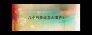 几个月泰迪怎么喂养