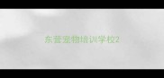 东营宠物培训学校