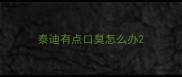 泰迪有点口臭怎么办