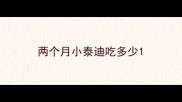两个月小泰迪吃多少