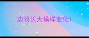 边牧长大模样变化