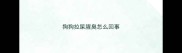 狗狗拉屎腥臭怎么回事
