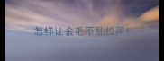 怎样让金毛不乱拉屎