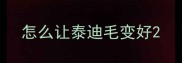 怎么让泰迪毛变好