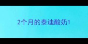 2个月的泰迪酸奶