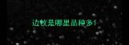 边牧是哪里品种多