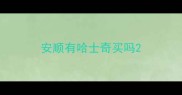 安顺有哈士奇买吗