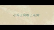 小哈士奇嘴上毛黄