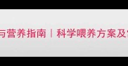 黑拉布拉多饮食禁忌与营养指南科学喂养方案及常见误区附食谱