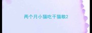 两个月小猫吃干猫粮