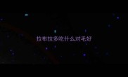 拉布拉多吃什么对毛好