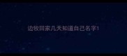 边牧回家几天知道自己名字