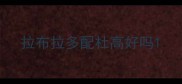拉布拉多配杜高好吗