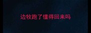 边牧跑了懂得回来吗