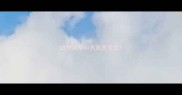 边牧怀孕60天乳房变化