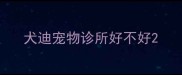 犬迪宠物诊所好不好