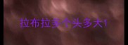 拉布拉多个头多大